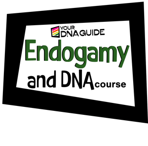 Endogamy Logo